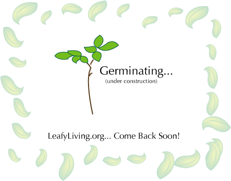 LeafyLiving.org is under construction!